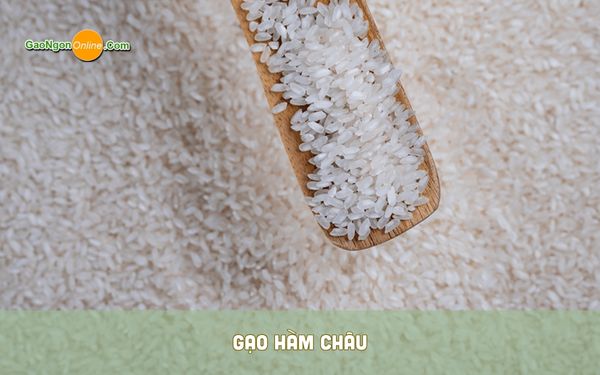 Gạo hàm châu