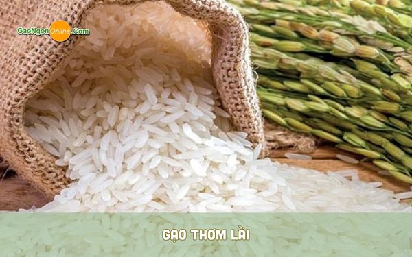Gạo thơm lài