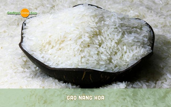 Gạo nàng hoa