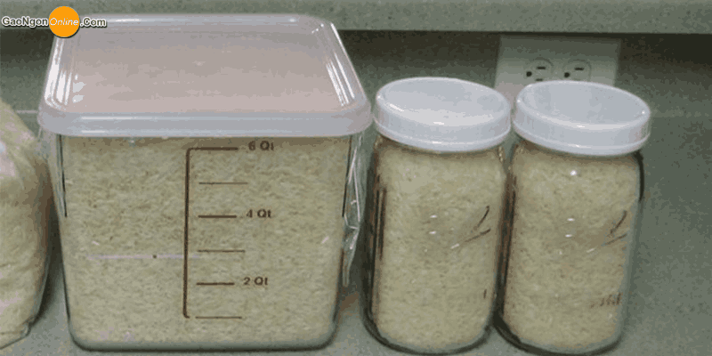 Dùng thùng đựng gạo có đắp đậy