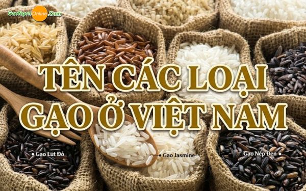Tên các loại gạo ở Việt Nam