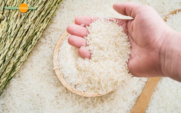 Chất lượng gạo sạch ở Gạo Ngon Online